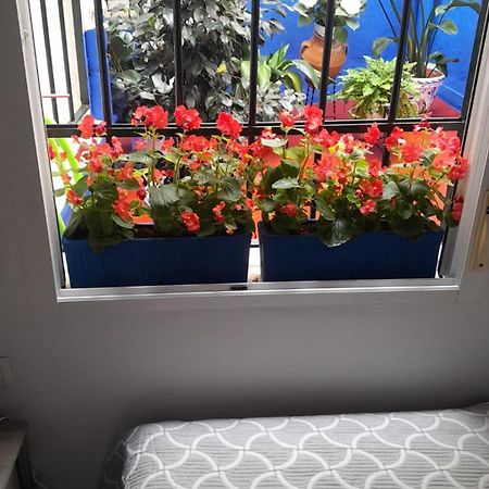 קורדובה Puerta Sevilla Parking Gratis מראה חיצוני תמונה