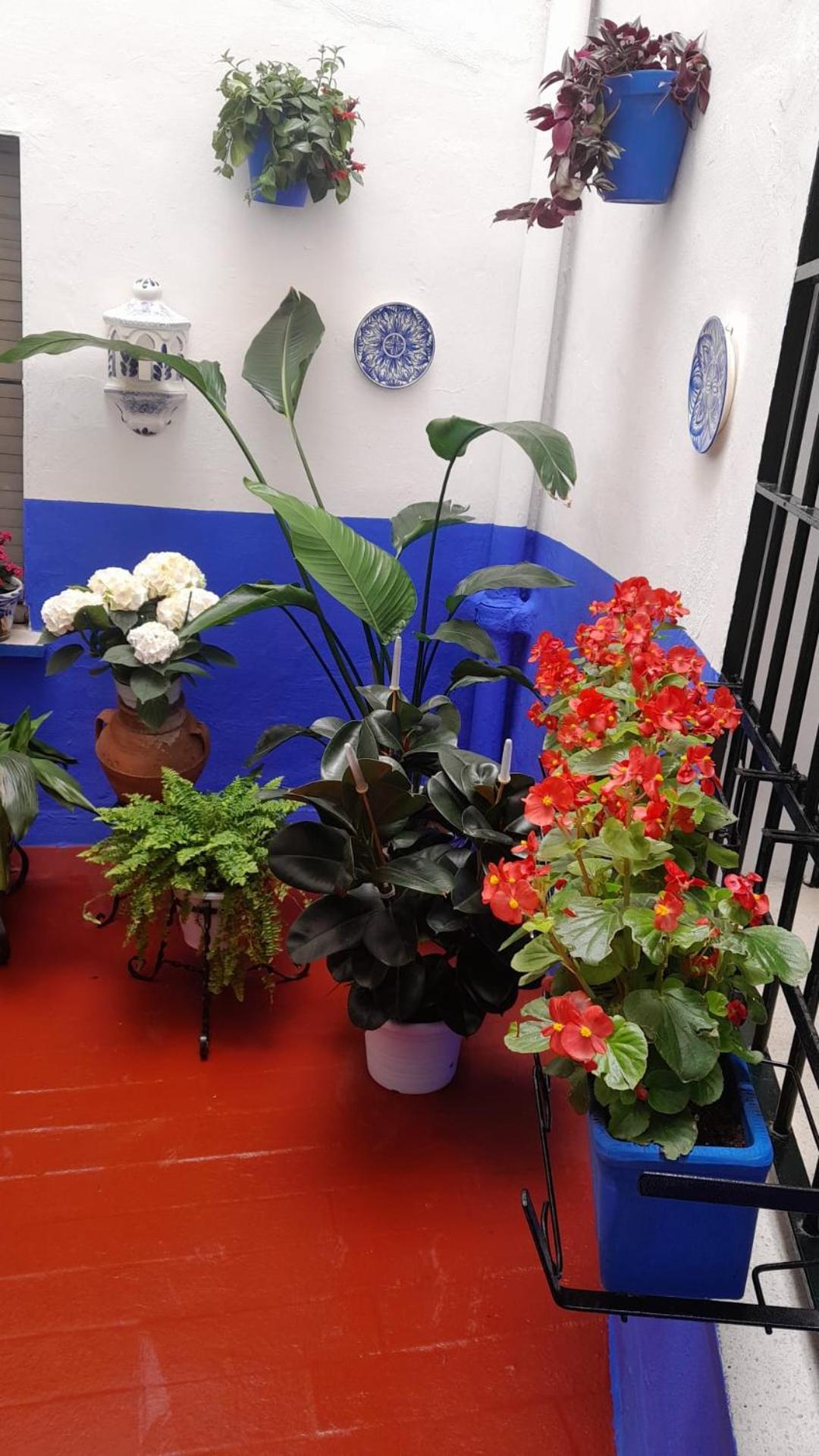 קורדובה Puerta Sevilla Parking Gratis מראה חיצוני תמונה